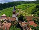 Albé, son église, ses vignes et ses bois